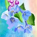 Virginia Bluebells