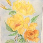 Yellow Rose of Friendship